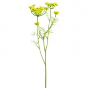 Искусственный цветок CAROTTE SAUVAGE TIGE GM